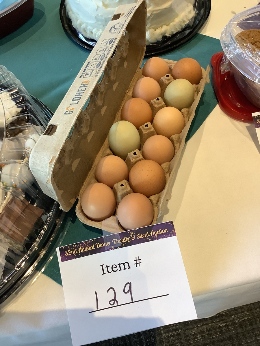 Image of Auction Item