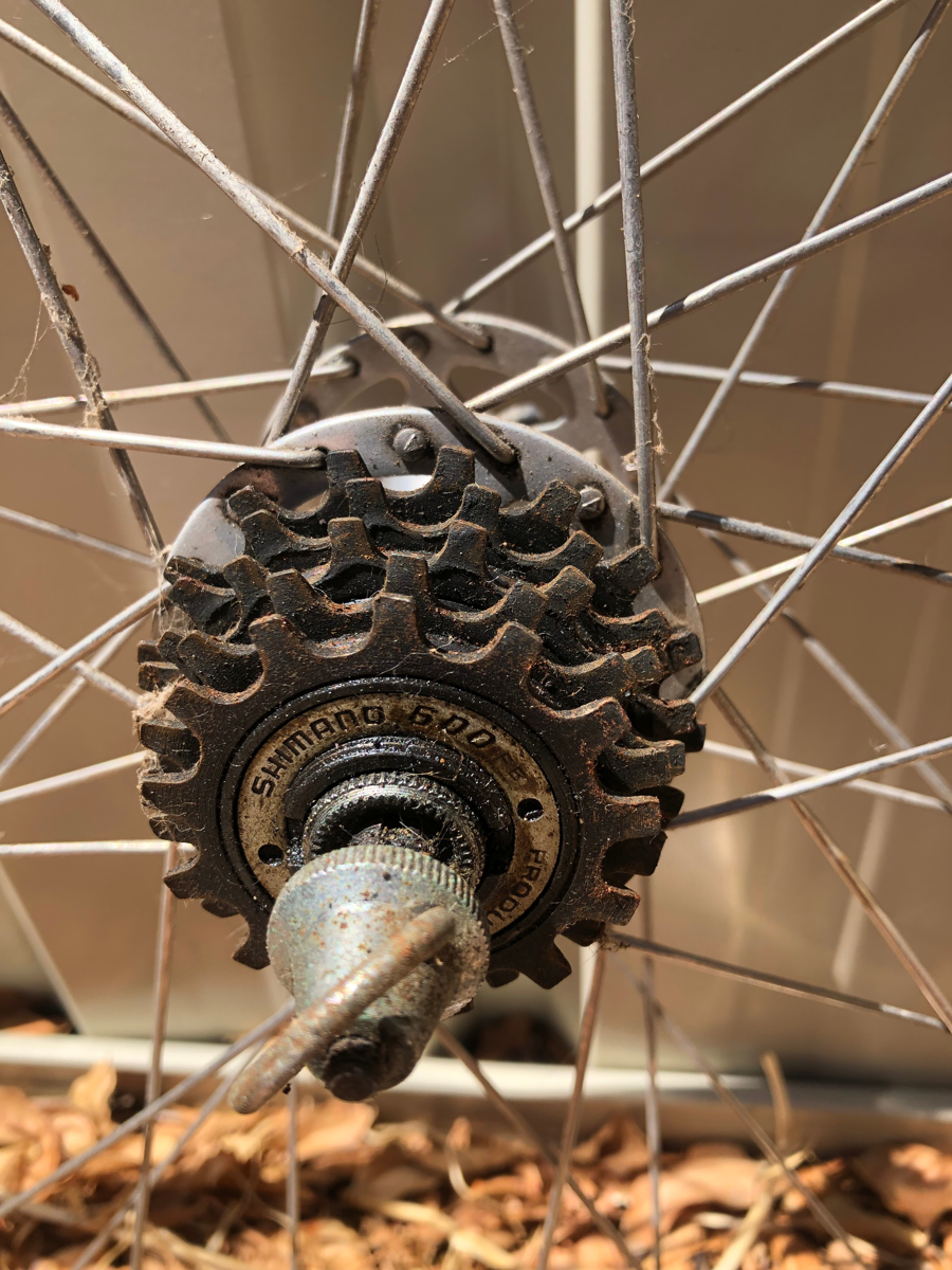 Image of Auction Item