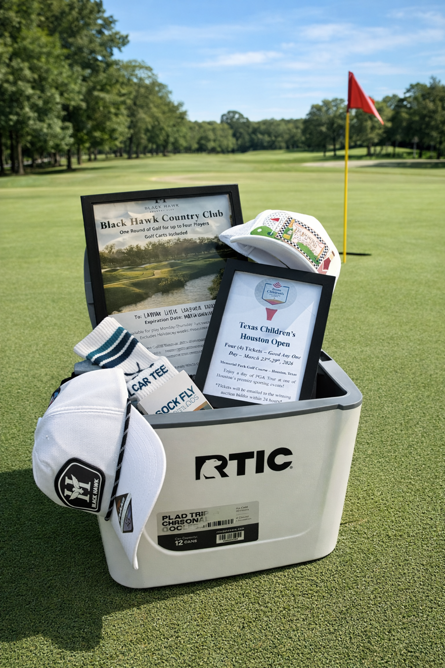 Image of Auction Item