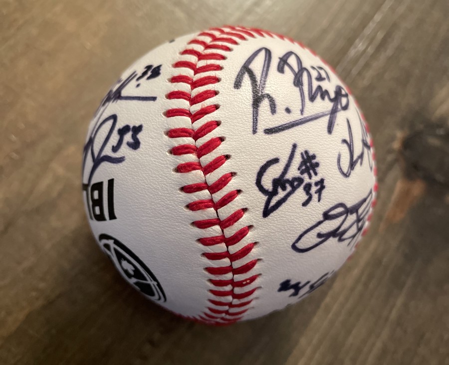 Image of Auction Item