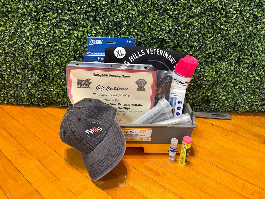 Image of Auction Item