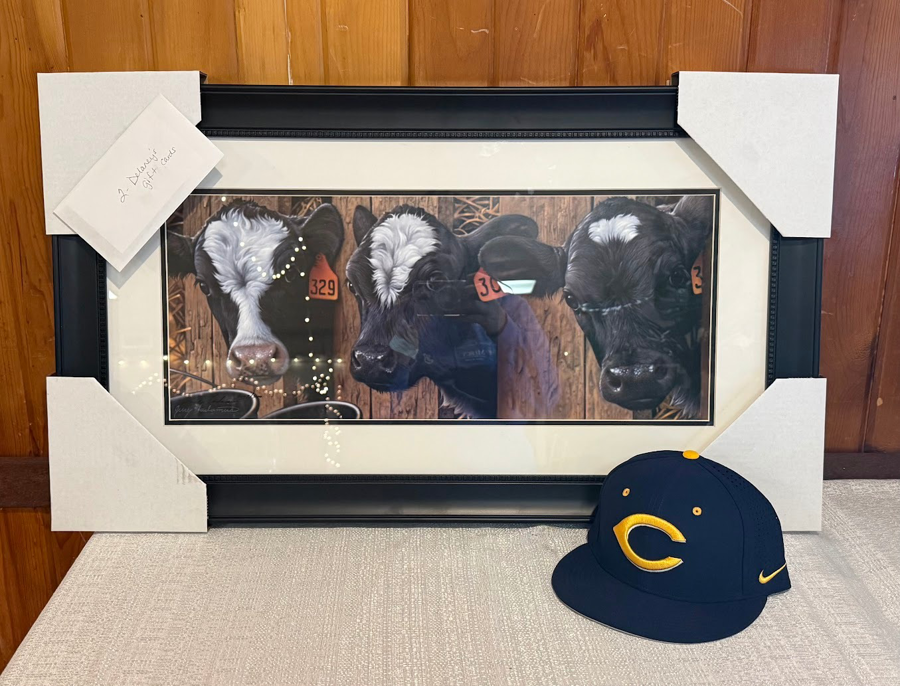 Image of Auction Item