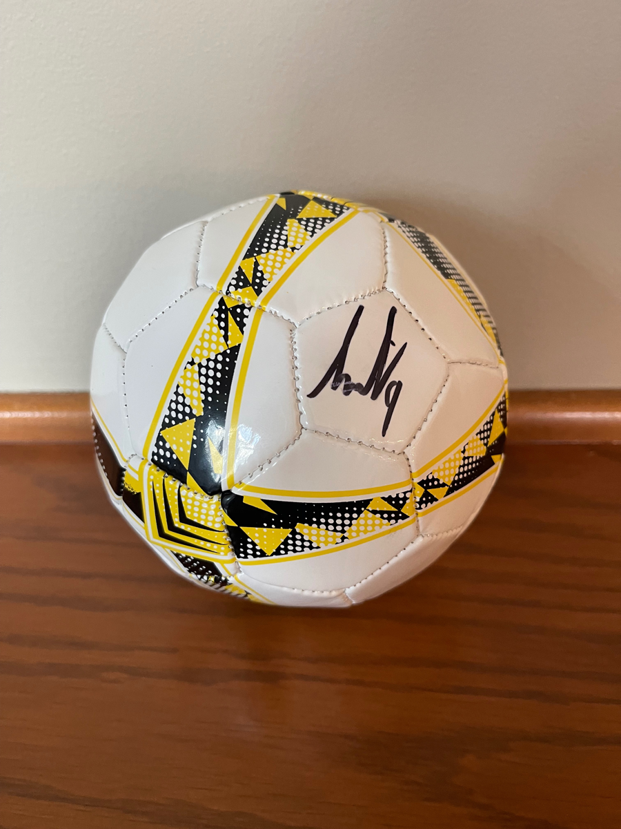 Image of Auction Item