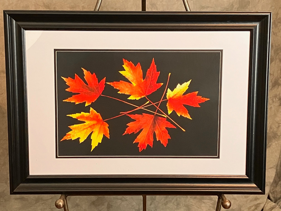 Image of Auction Item