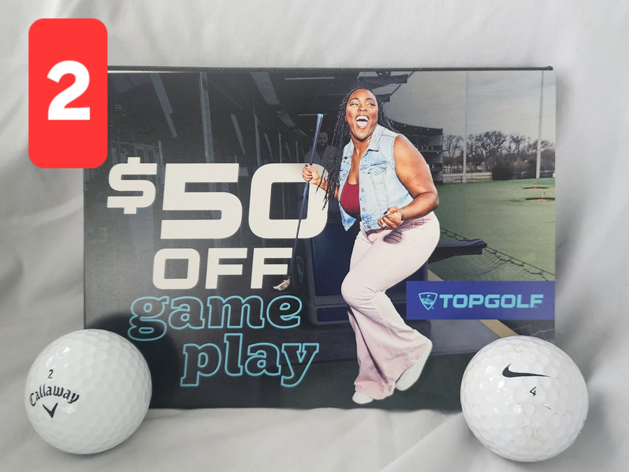 Image of Auction Item