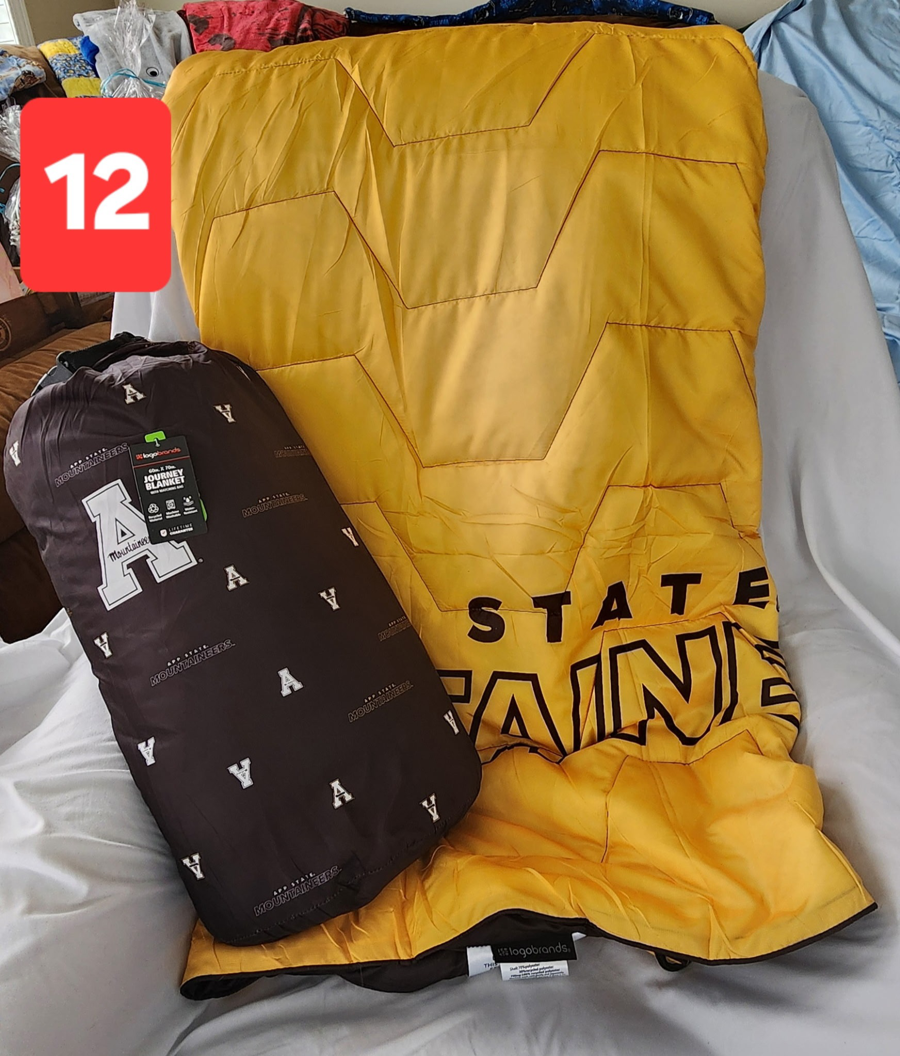 Image of Auction Item