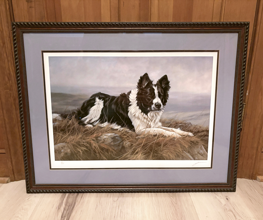 Image of Auction Item