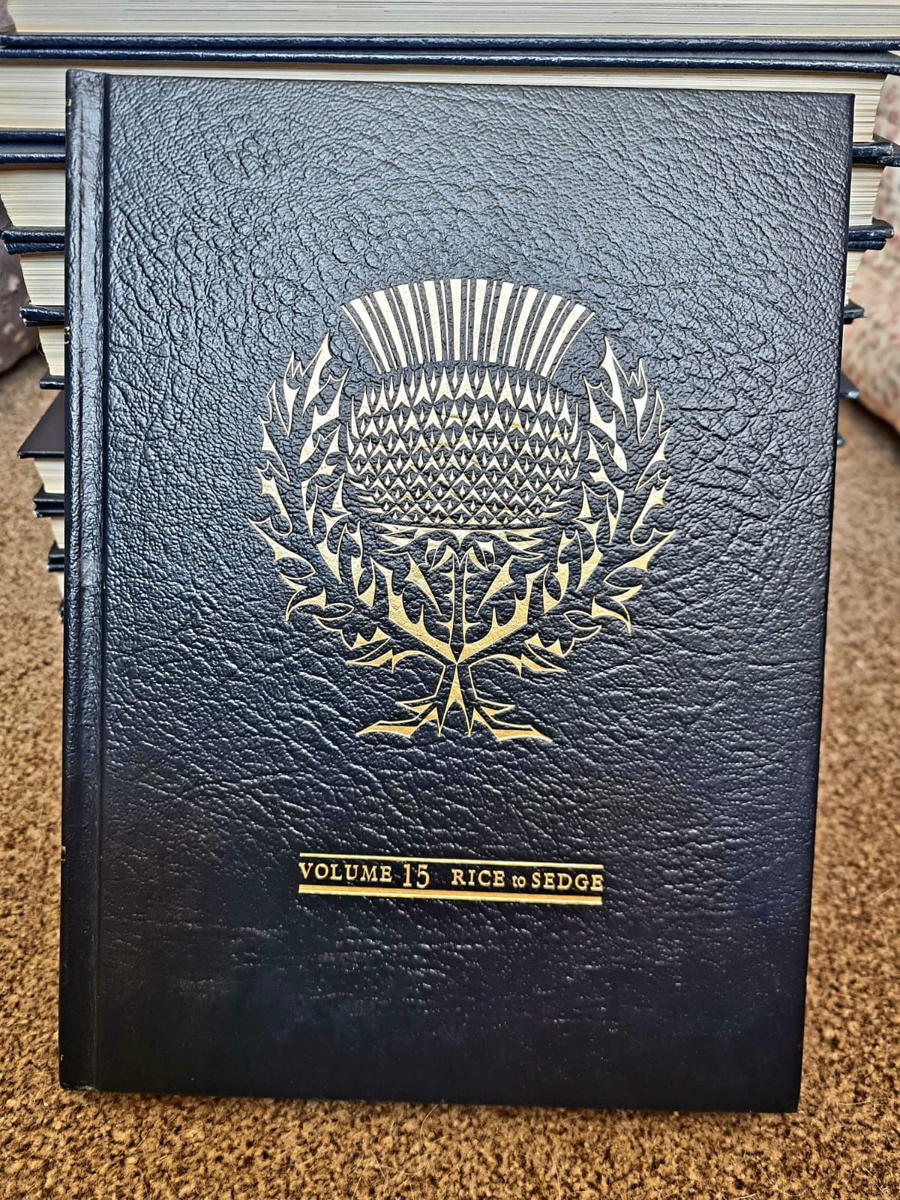 Image of Auction Item