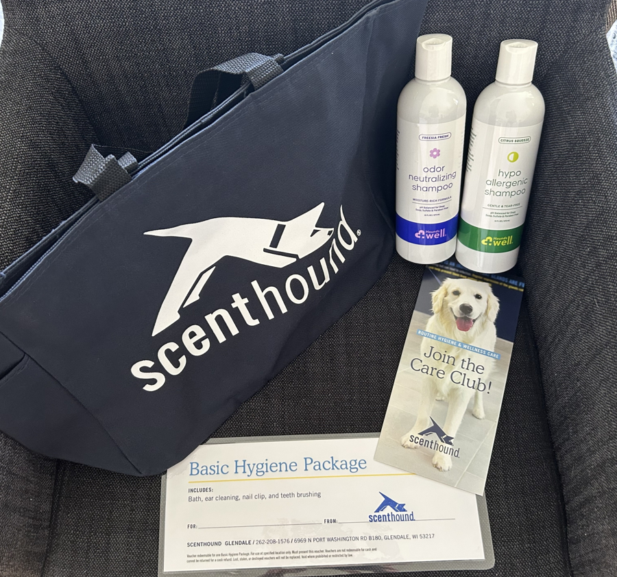 Image of Auction Item