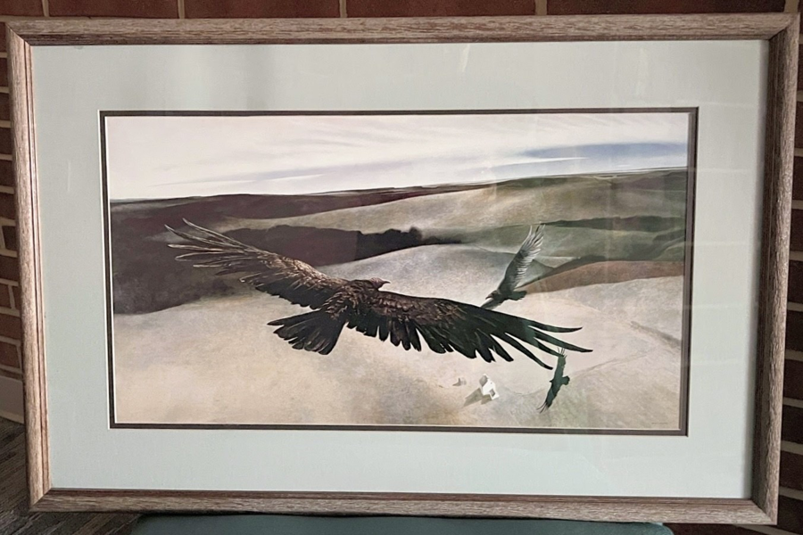 Image of Auction Item