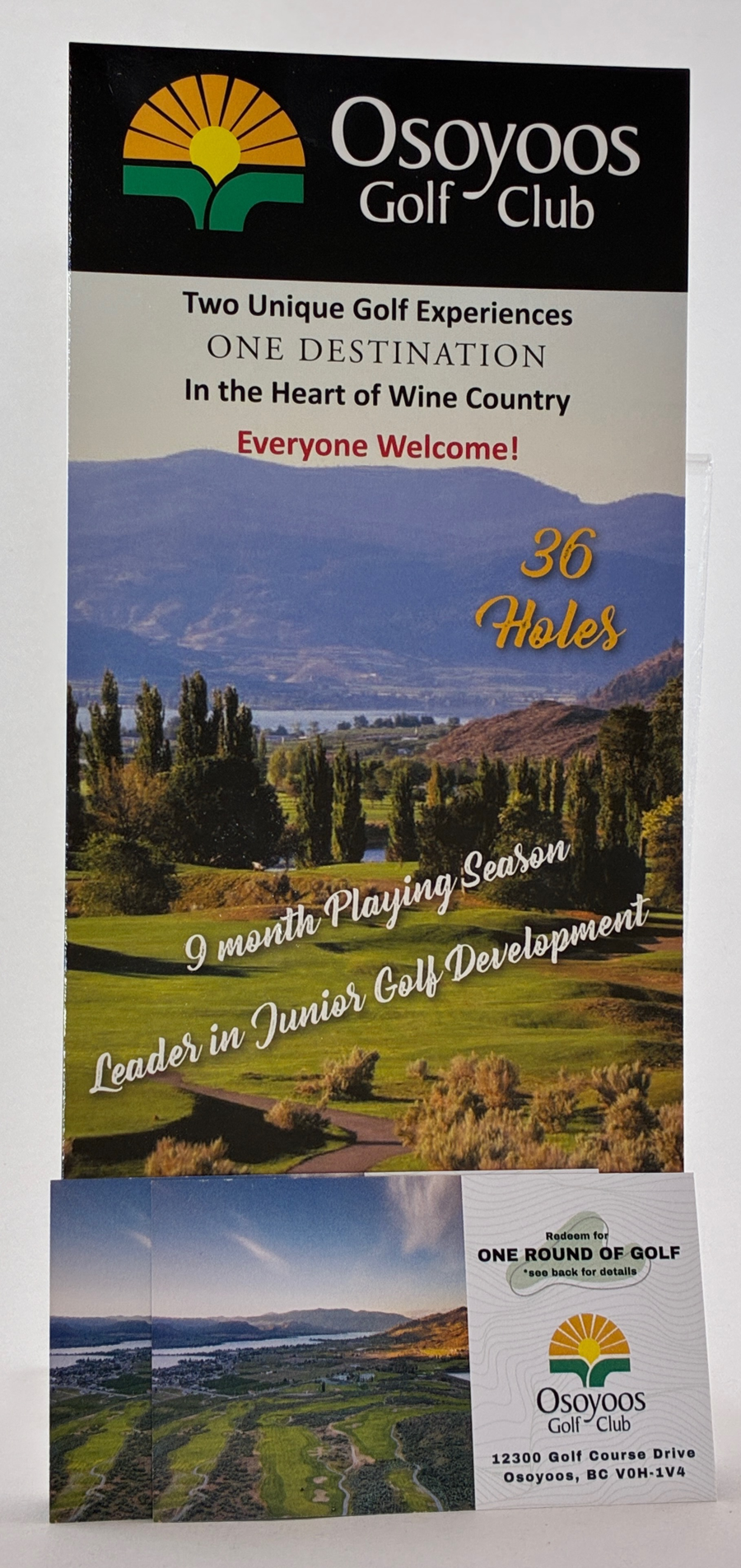 Image of Auction Item
