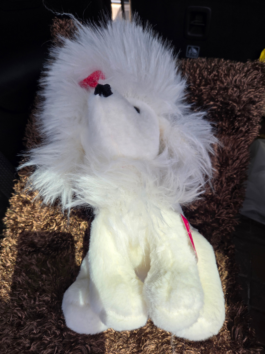 Image of Auction Item