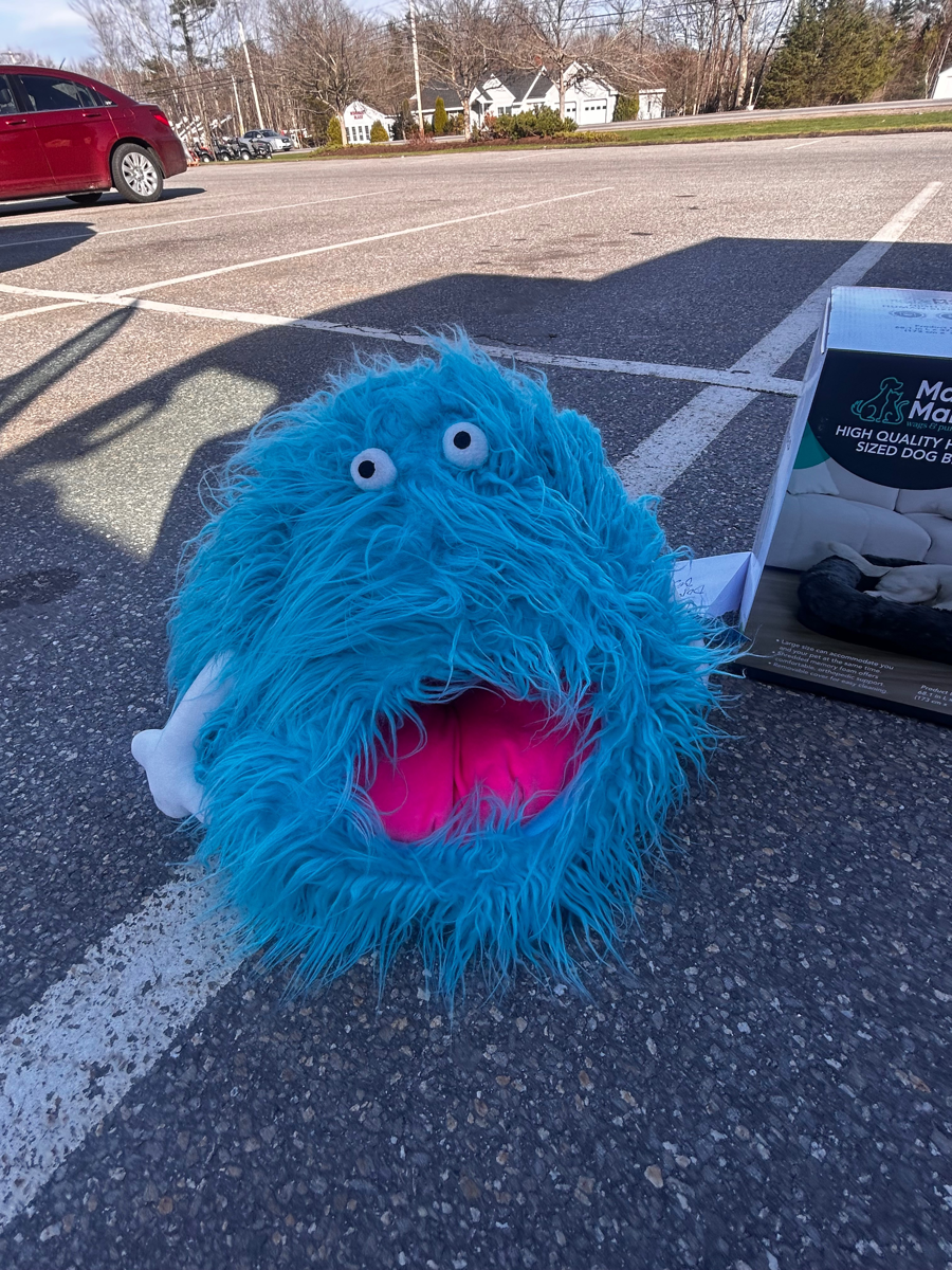 Image of Auction Item