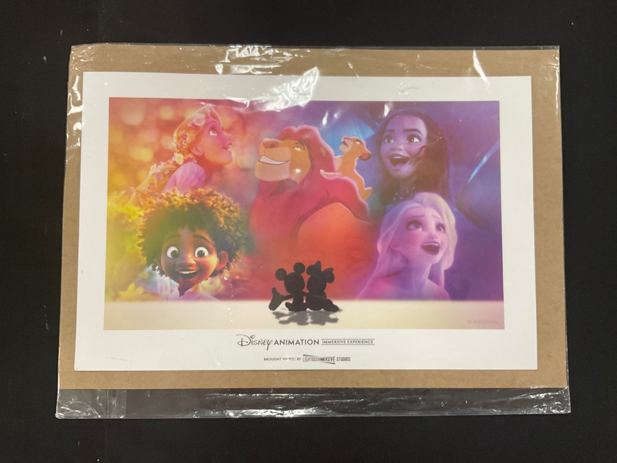 Image of Auction Item