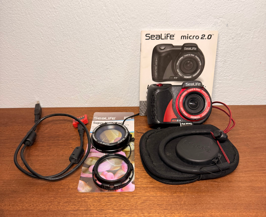 Image of Auction Item