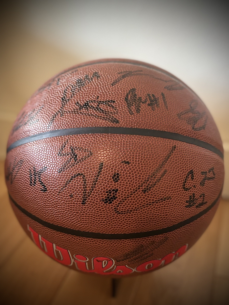 Image of Auction Item