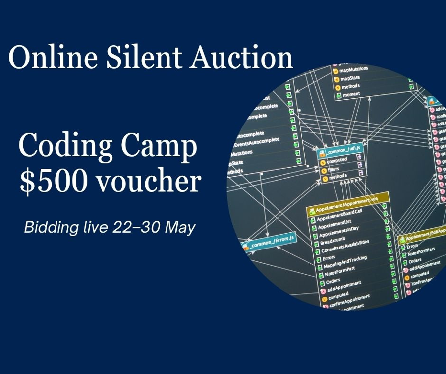 Image of Auction Item