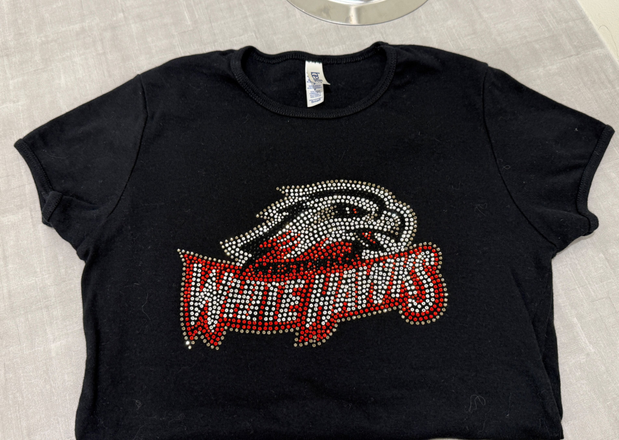 Image of Auction Item