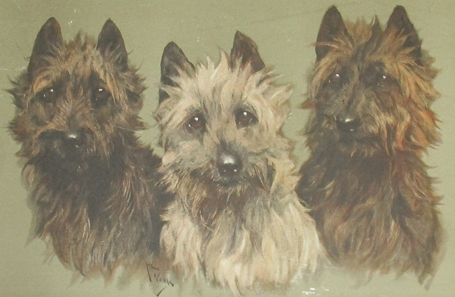 Image of Auction Item