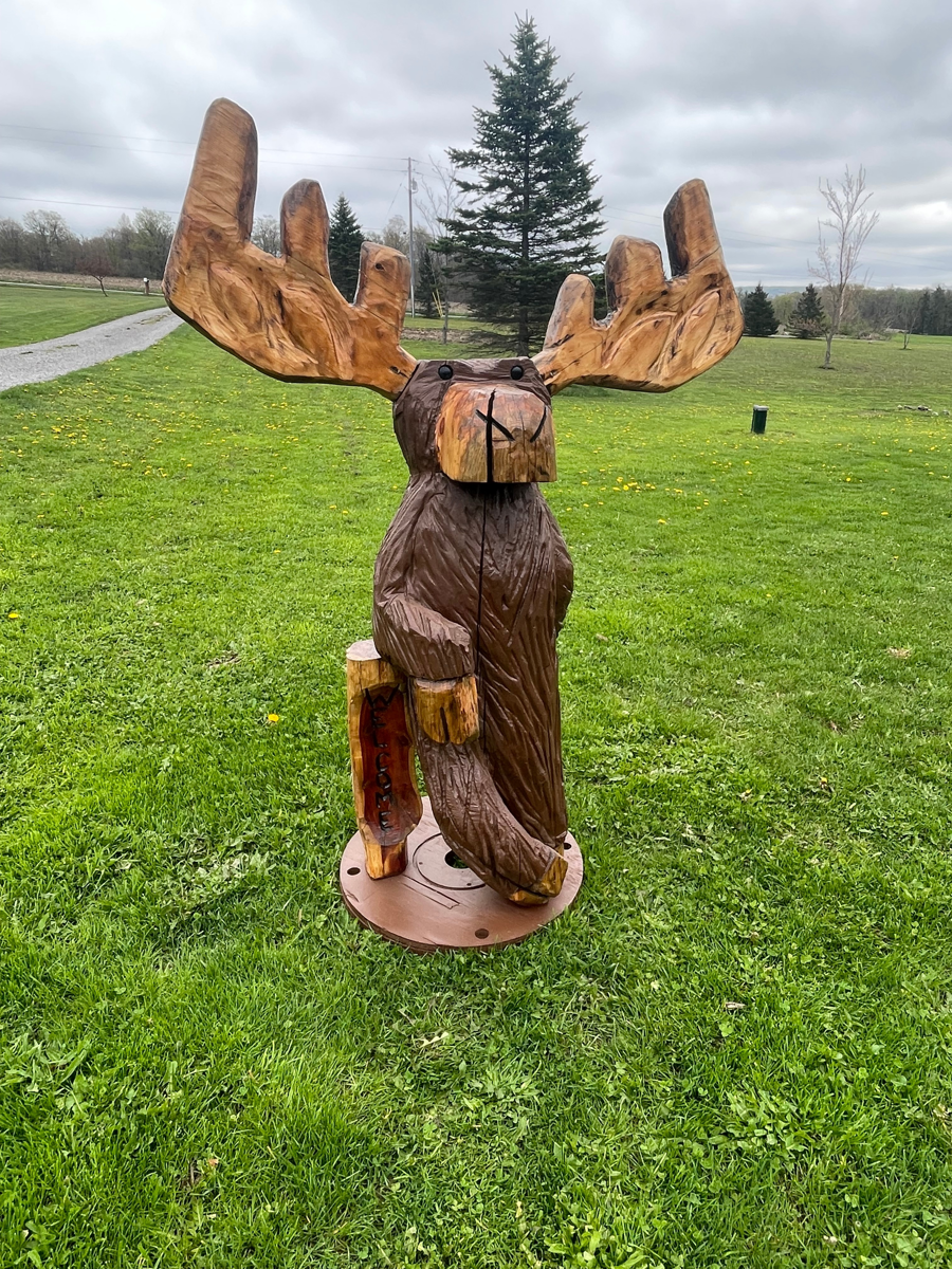 Image of Auction Item