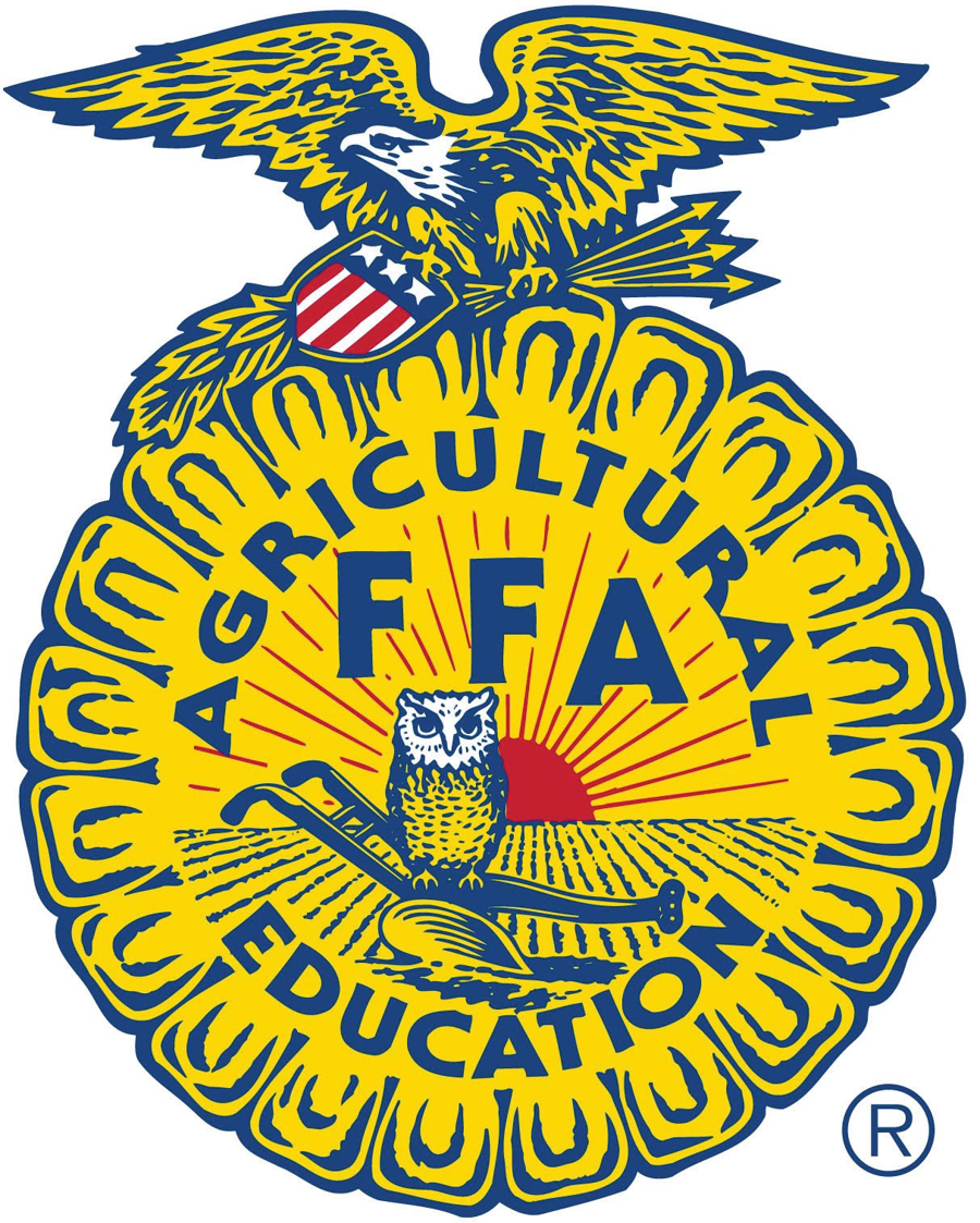 Organization Logo