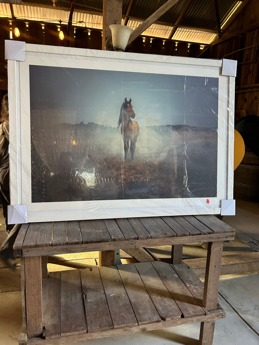 Image of Auction Item