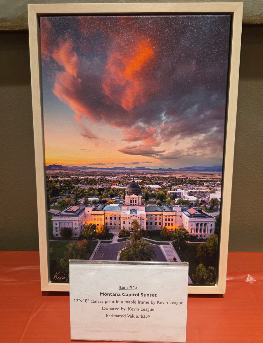 Image of Auction Item