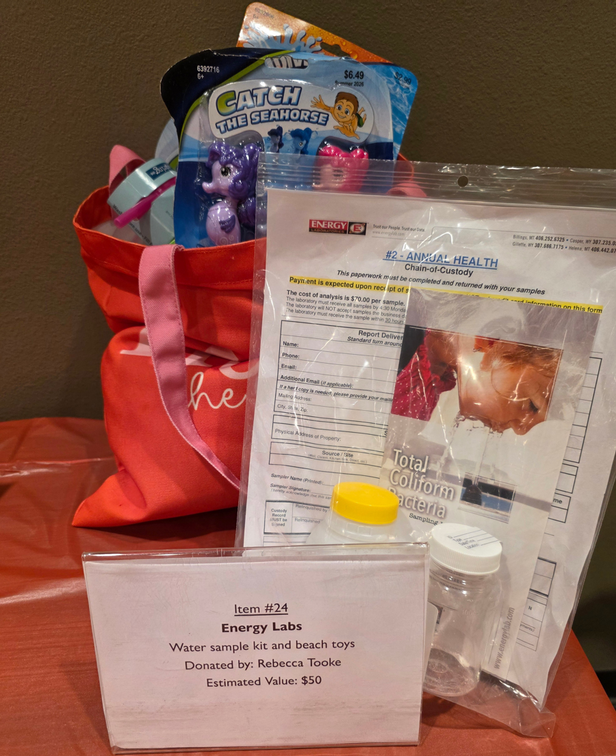 Image of Auction Item
