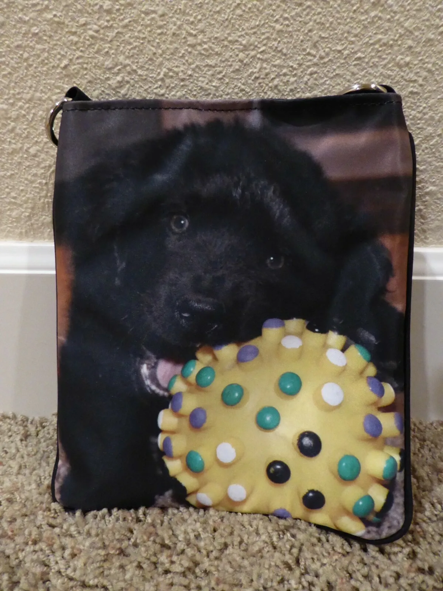 Image of Auction Item