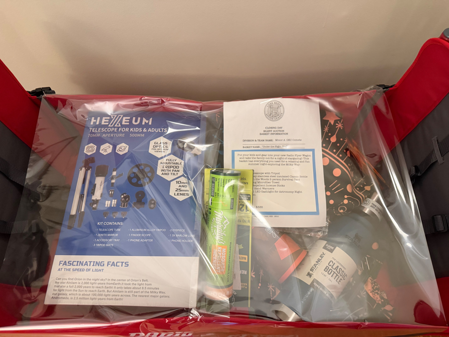 Image of Auction Item