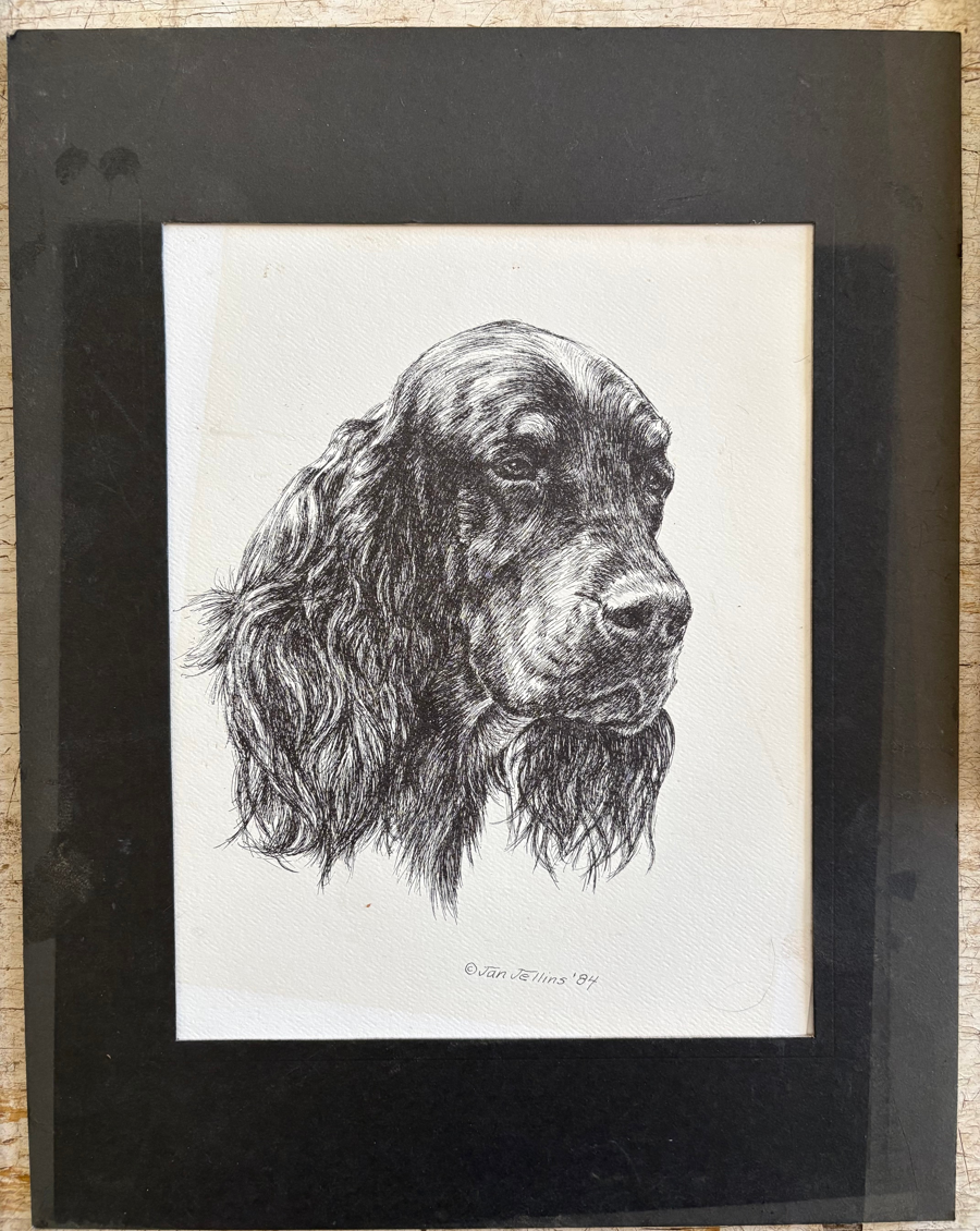 Image of Auction Item