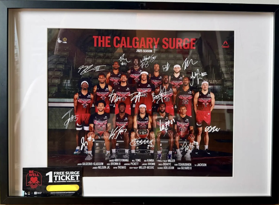 Image of Auction Item