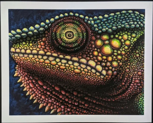Image of Auction Item