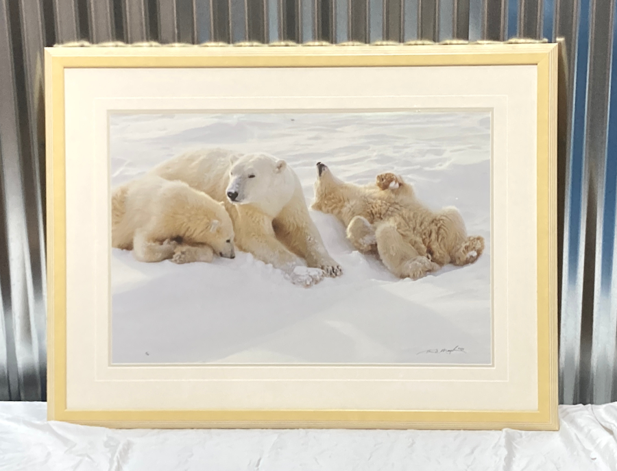 Image of Auction Item