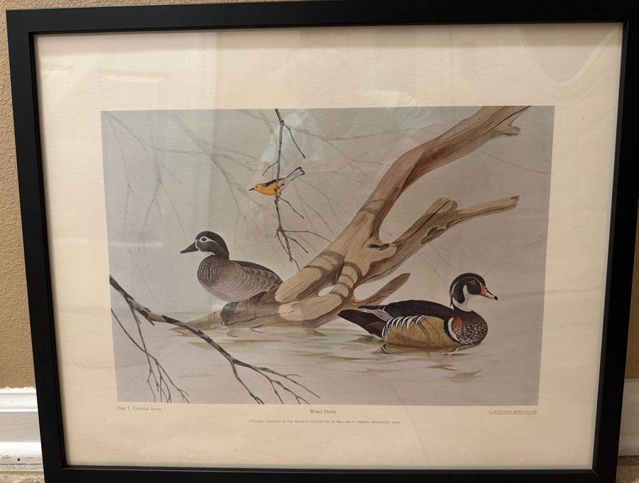 Image of Auction Item