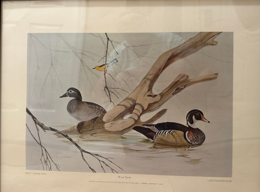 Image of Auction Item