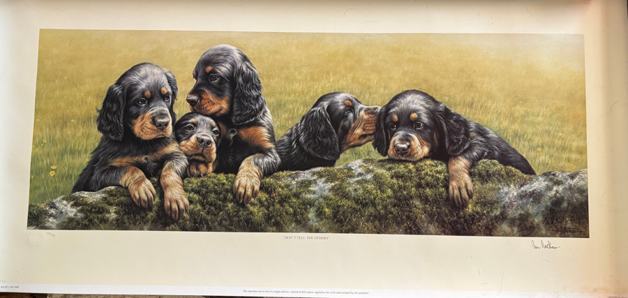 Image of Auction Item
