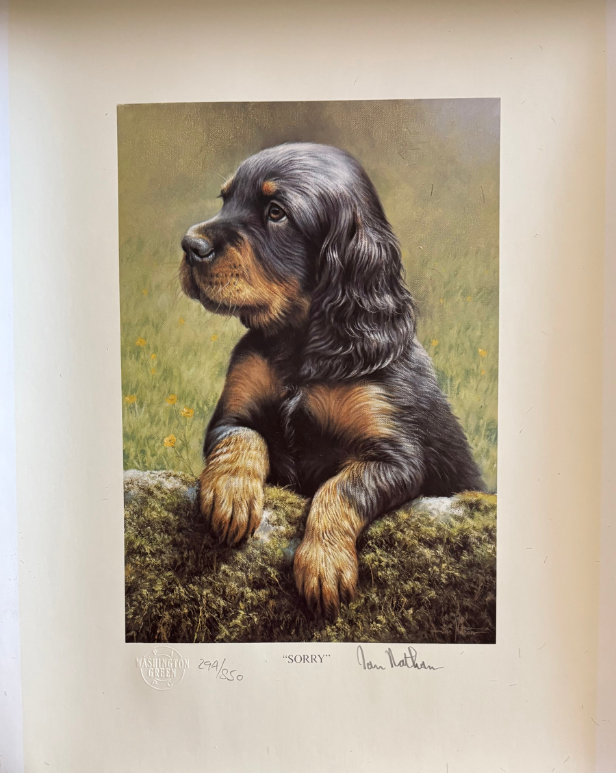 Image of Auction Item
