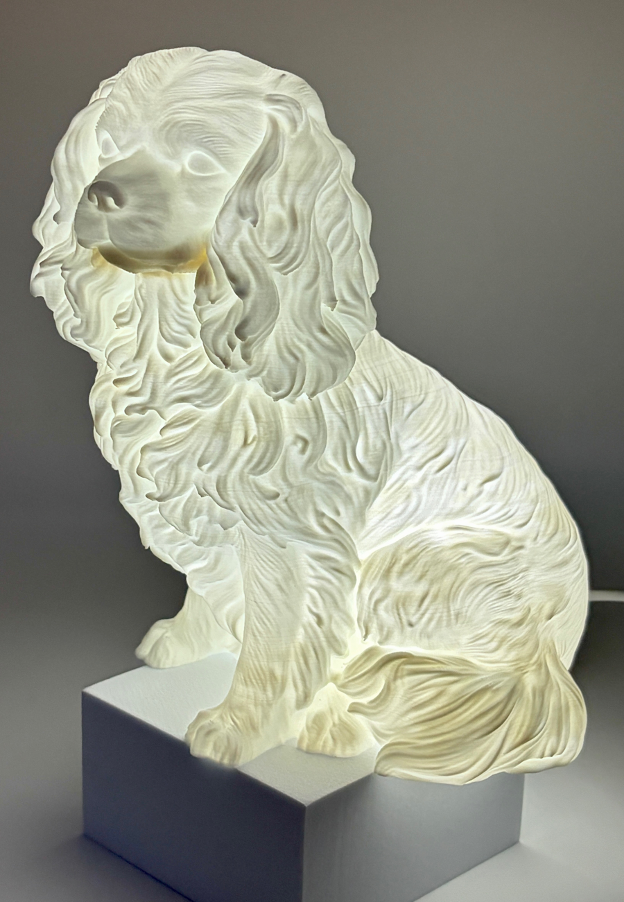 Image of Auction Item