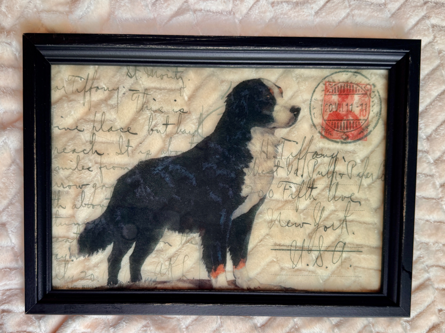 Image of Auction Item