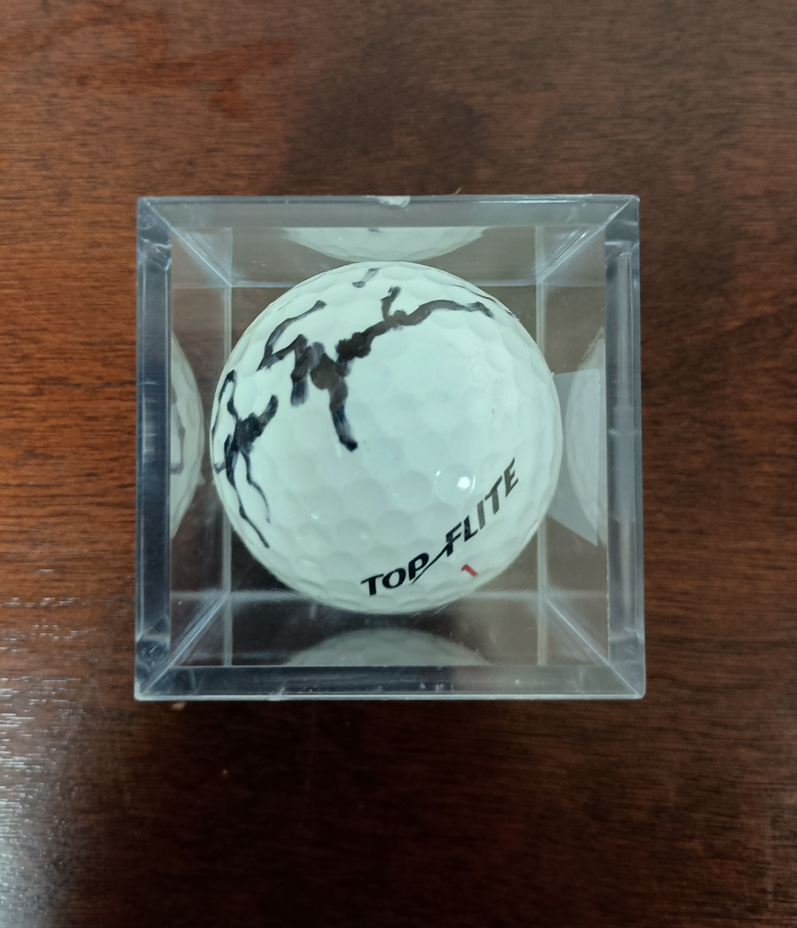 Image of Auction Item