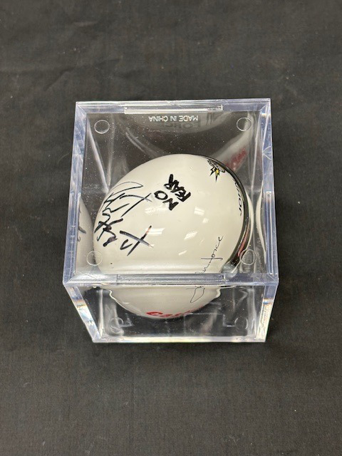 Image of Auction Item