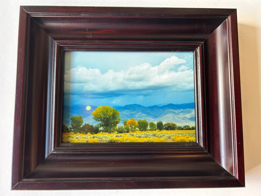 Image of Auction Item