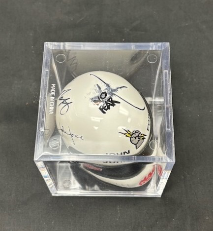 Image of Auction Item