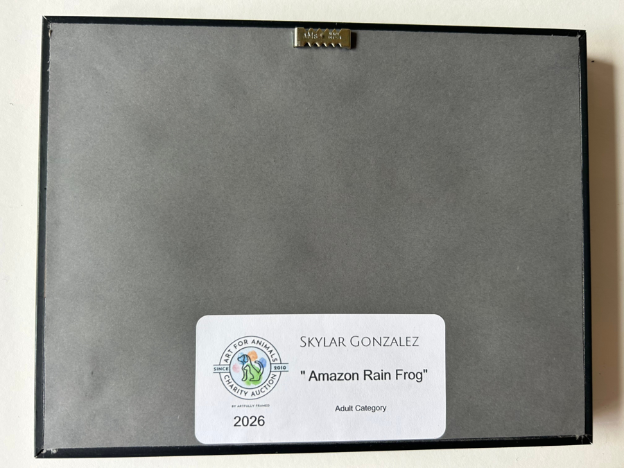 Image of Auction Item