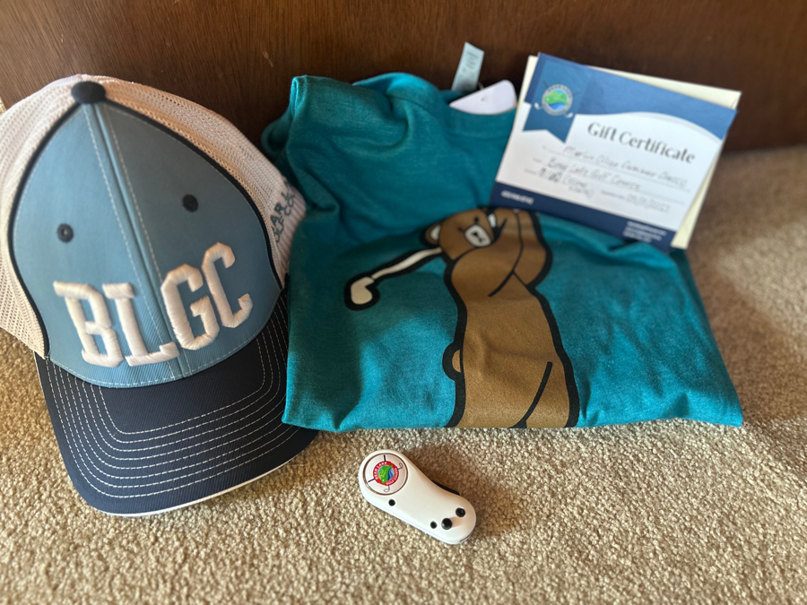 Image of Auction Item
