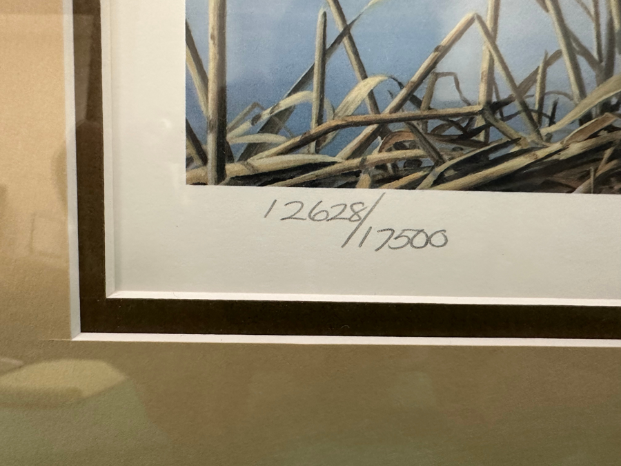 Image of Auction Item