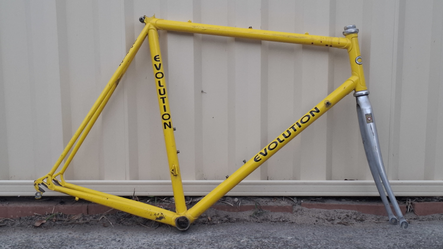 Image of Auction Item