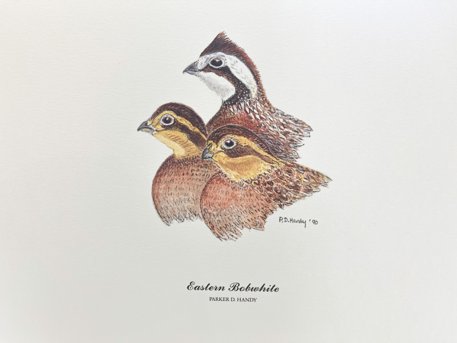 Image of Auction Item
