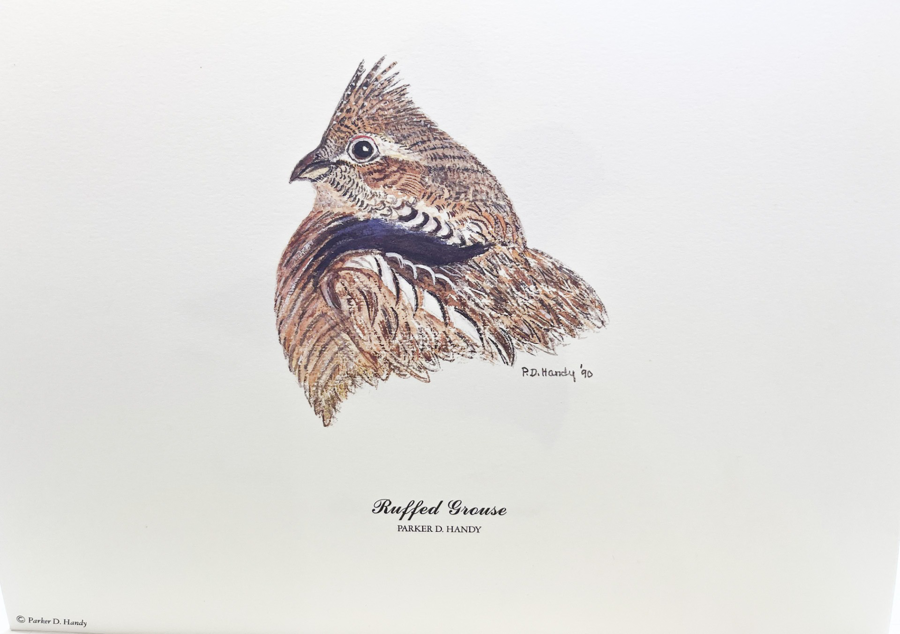 Image of Auction Item